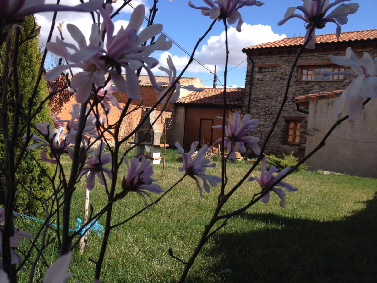 Casa De Piedra En Country house